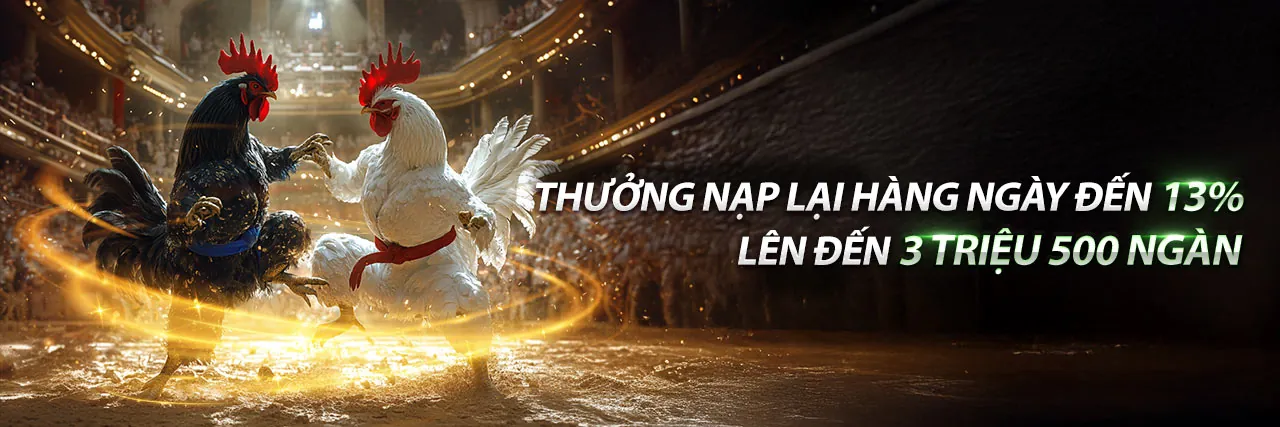 Banner blog 79kin với các trò chơi giải trí trực tuyến